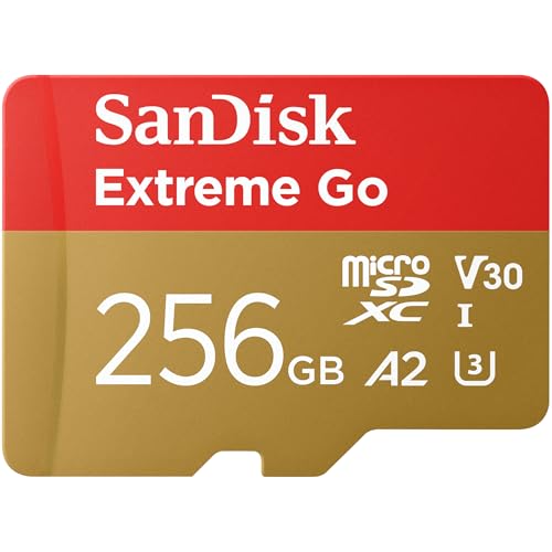 SanDisk Extreme Go (256 GB)