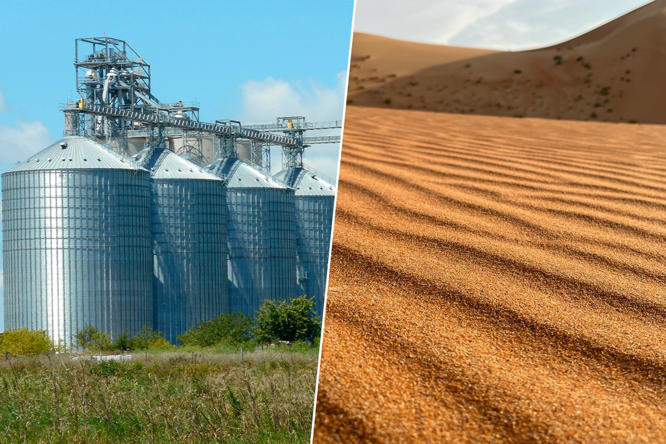 Nicole drinkwater onlyfans Only fresh Nicole Drinkwater 