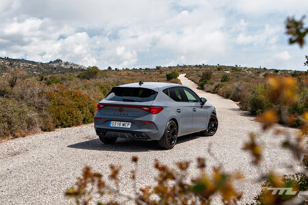 Cupra Leon eTSI 150 CV