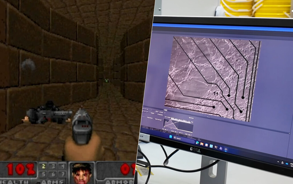 Unos científicos han conectado 200.000 neuronas humanas a un chip. Y las ha puesto a jugar a ‘Doom’