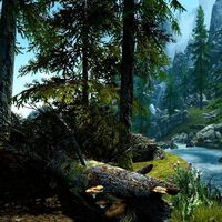 14 años después, el misterio más absurdo de todo Skyrim se ha resuelto y ni siquiera Todd Howard sabía la respuesta