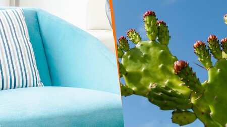 Los nuevos colores del año de Comex son puro México: ideas fáciles para usar Cielito Lindo y Xoconostle en casa