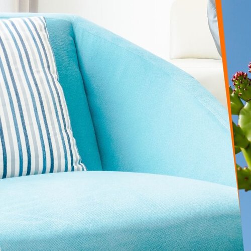 Los nuevos colores del año de Comex son puro México: ideas fáciles para usar Cielito Lindo y Xoconostle en casa