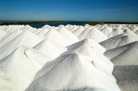 salinas de litio