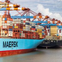 Chinches, los pequeños seres que están causando retrasos en las entregas de coches nuevos en Australia