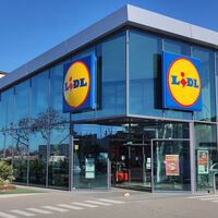 Hoy lunes, 3 de noviembre, llega a Lidl la casa de muñecas de madera XXL que los peques querrán tener en Navidad