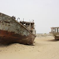 A URSS desviou a água de dois rios enormes para cultivar algodão; hoje, é um dos maiores desastres ambientais: um deserto de 62.000 km² 