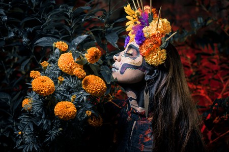 De la Ofrenda Monumental al Festival entre Xolos y Catrinas 2026: así será el Día de Muertos en el Centro Histórico de CDMX hasta el 2 de noviembre