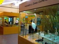 El Museo de la Biodiversidad en Ibi (Alicante): niños, hay que cuidar el medio ambiente