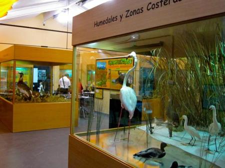 El Museo de la Biodiversidad en Ibi (Alicante): niños, hay que cuidar el medio ambiente