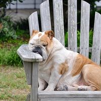 Si trabajar es tu válvula de escape, quizás sea adicción