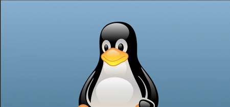 'Versionitis' en Linux: los números de versión nunca importaron, y siguen sin hacerlo 
