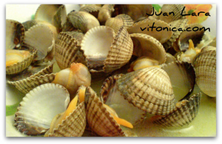Berberechos al ajillo. Receta Saludable