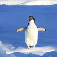 Justo lo que necesitas: un aire acondicionado portátil sin instalación por menos de 200 euros en MediaMarkt (y con entrega en 48 horas)