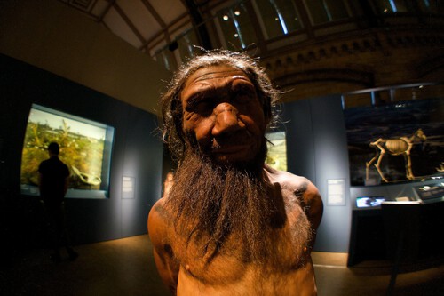 Neanderthals made the oldest bone spear tip in Europe