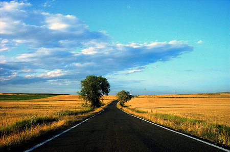 Compañeros de Ruta (I)