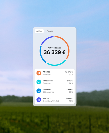 Revolut App Cuentas Compartidas Administrador Finanzas
