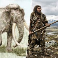 La imagen del neandertal bruto y carroñero es historia: la ciencia ilustra que cazaban a las bestias más grandes de su época