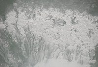 Los polvos de talco no son adecuados para los bebés