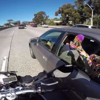 Este cabezabuque rastreador alcanza a su presa, y quiere un trozo