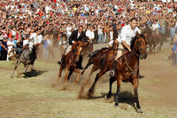 L'Ardia de San Constantino
