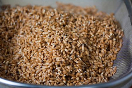 Diferencias entre cereales complejos y refinados