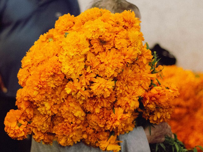 Flores Originales