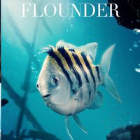 Tras la polémica con el cangrejo Sebastián, ahora llega el turno de Flounder: por qué no gusta el pez de la 'La Sirenita' 