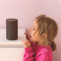 Cuando tus hijos hacen más caso a Alexa que a ti y decides formar equipo