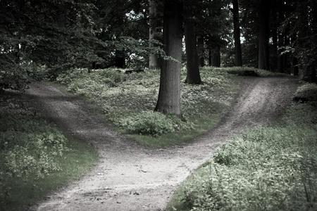 El camino que no elegimos, o la encrucijada de los programadores, por @frr149