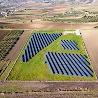 Los paneles solares pueden hacer algo inesperado cuando se instalan sobre cultivos: proteger a los agricultores del calor 