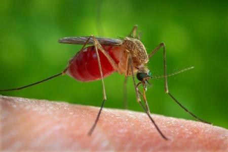Se descubre cómo una tecnología anti-misiles puede ayudar a detectar malaria