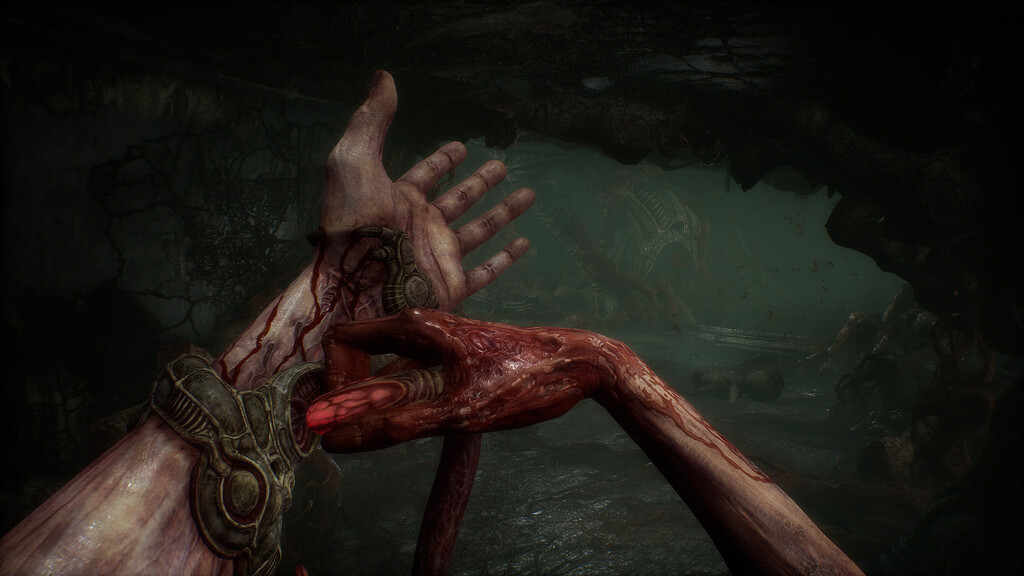 Los creadores de Scorn resuelven dudas: duración del terror espacial, modo foto y requisitos para jugar a 4K/60FPS Los creadores de Scorn resuelven dudas: duración del terror espacial, modo foto y requisitos para jugar a 4K/60FPS