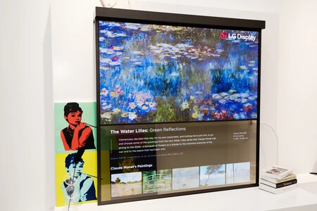 Lg Display Oled Shelf 0