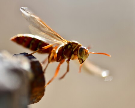 Duncan Sanchez Rqfjtmspjta Unsplash