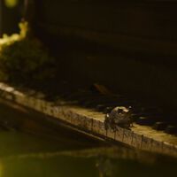 El segundo capítulo de The Last of Us tiene un invitado inesperado cuya escena tendría que haber sido muy distinta 