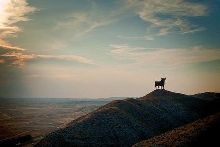 El "Territorio Toro" en Andalucía, para aficionados a la Fiesta