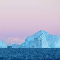 Colapso da Antártica é praticamente imparável e cientistas alertam consequências irreversíveis para fauna, flora e cidades costeiras 