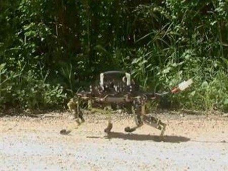 [Vídeo] El robot que se desplaza como un gato