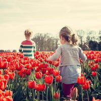 Ni jugar con otros niños ni tertulias de padres: en nuestras manos está la salud de todos