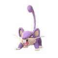 Rattata