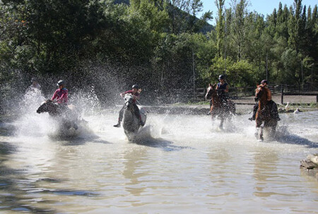 Galeria Campamentos Hipicos 2015