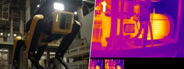 Hay centros de datos siendo vigilados y custodiados por perros-robot porque al parecer el futuro ya es el presente