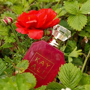 Este es el perfume floral del que todo el mundo habla, nosotras lo hemos probado y es una delicia para la primavera