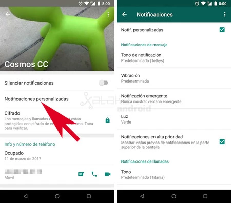 Notificaciones Personalizadas