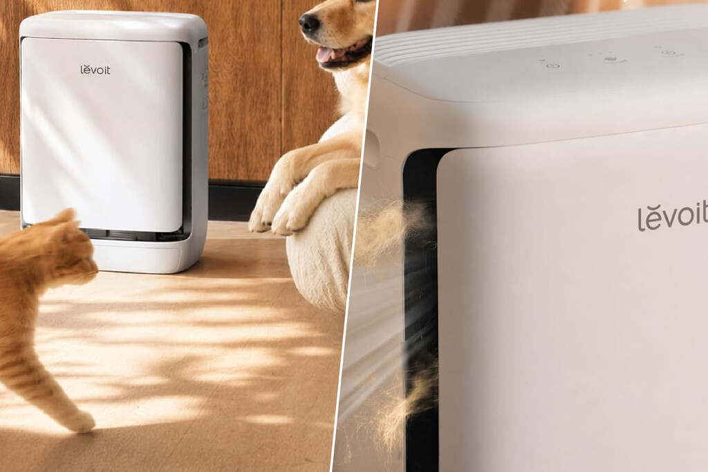 Levoit presenta el Vital Pet Pro: un purificador de aire que que recoge el pelo con la promesa de que los filtros no se atasquen