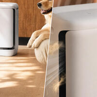 Levoit presenta el Vital Pet Pro: un purificador de aire que que recoge el pelo con la promesa de que los filtros no se atasquen