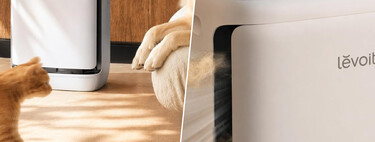 Levoit presenta el Vital Pet Pro: un purificador de aire que que recoge el pelo con la promesa de que los filtros no se atasquen