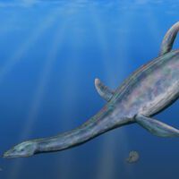 Medía casi 3 metros de largo y tenía dientes en forma de cuchara: así era el Spatulidentatus breviceps hallado en China 