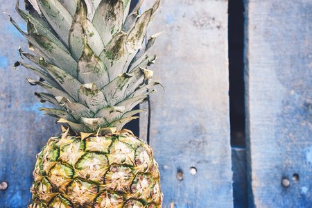 Expertos en biotecnología en México usan residuos de la piña para la fabricación de quesos